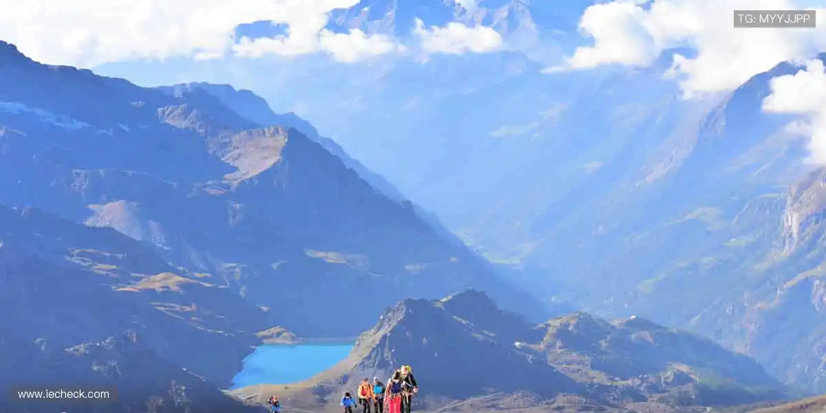 🏆点燃热血,每一秒都是冠军时刻!