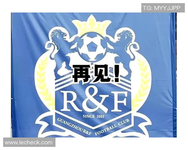 今年足球明星退役纪念照片集锦展现辉煌岁月与不舍告别