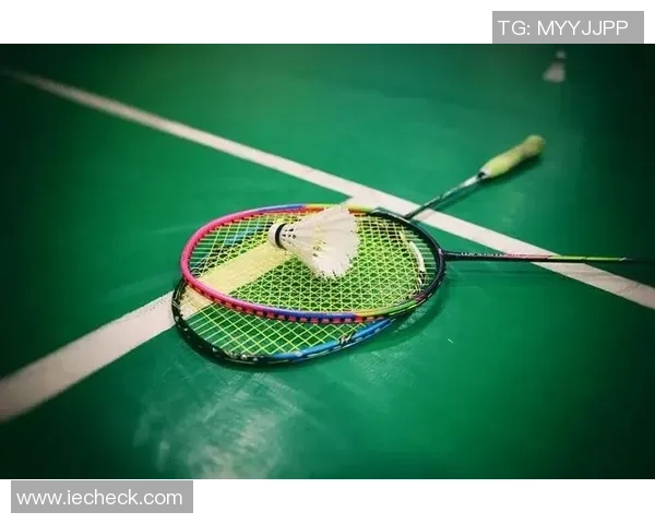 从零起步羽毛球意识提升全方位指南助你成为场上高手