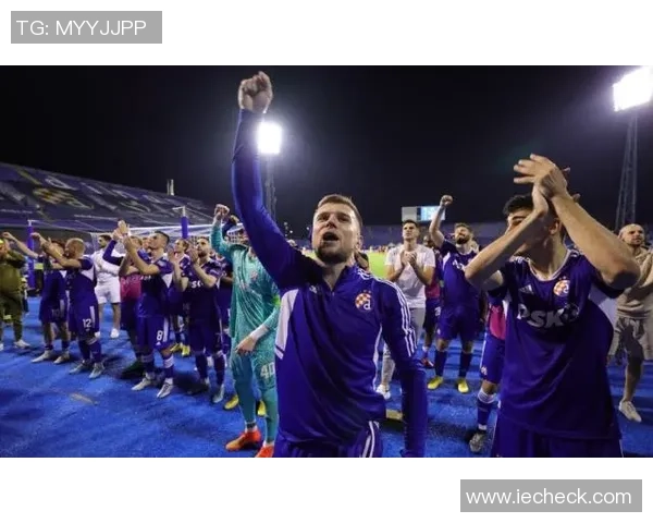 佩里奇足球明星的传奇之路与辉煌成就揭秘