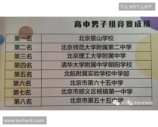 北京排球队转换体系的战术解析与实战应用探讨