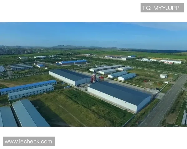 夷陵区足球发展新篇章青少年培训与社区联赛齐头并进