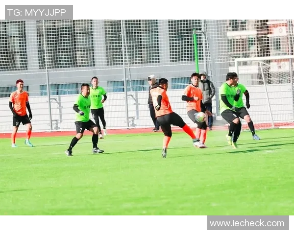 卓姓足球的崛起与发展探索如何在绿茵场上书写辉煌传奇