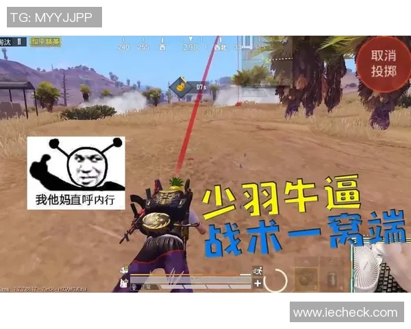 和平精英战术分析：深入解析RNG战队的进攻策略与团队配合