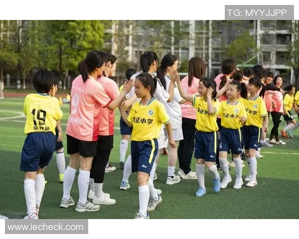 在绿茵场上挥洒汗水我的本领是踢足球的快乐与成长