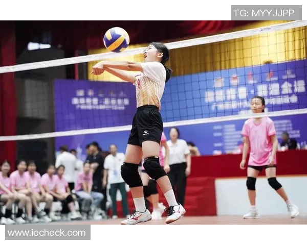广州排球队的速度之谜：揭开排球巨献的背后故事与训练秘密