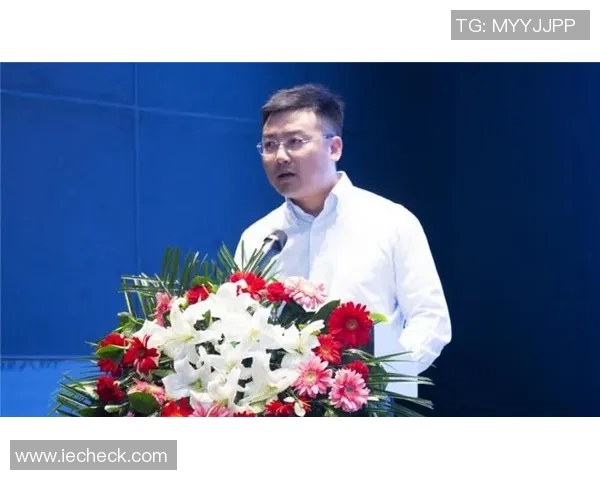 深圳极限运动队的区域防守策略揭秘与深度分析