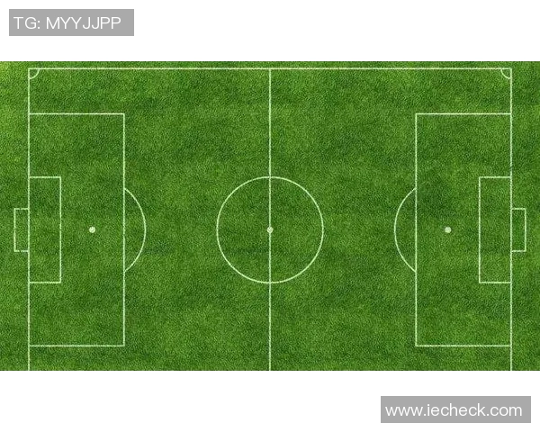 禁区是足球的灵魂所在解析禁区内的战术与技巧如何决定比赛胜负 禁区是足球的灵魂所在解析禁区内的战术与技巧如何决定比赛胜负